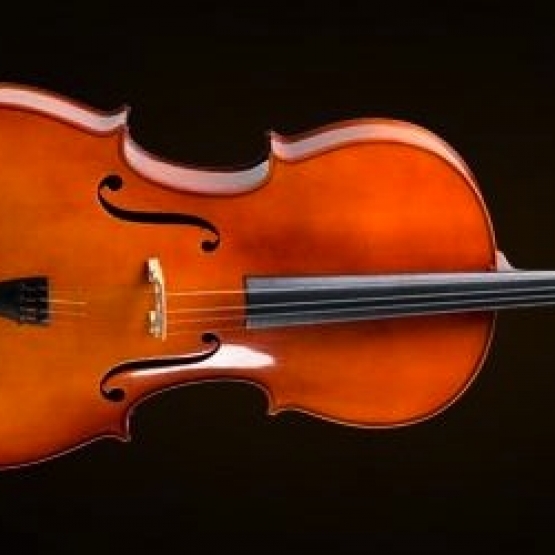 VALENCIA CE400G14 Cello Kılıflı+Yay+Reçine 1/4 German Sistem