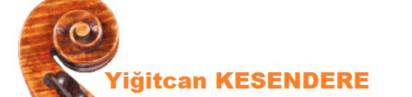 YİĞİTCAN KESENDERE