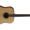 CORT PW 410NS Akustik Gitar