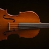 VALENCIA VA16040 Viola Sunburst Kutulu 15 5  ( 40 cm)