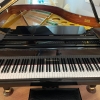 Zimmermann HZ 160 akustik kuyruklu piyano 2. el çok temiz