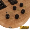 CORT BAS GİTAR ACTION (DELUX ), SWAMP ASH KASA, OPEN PO