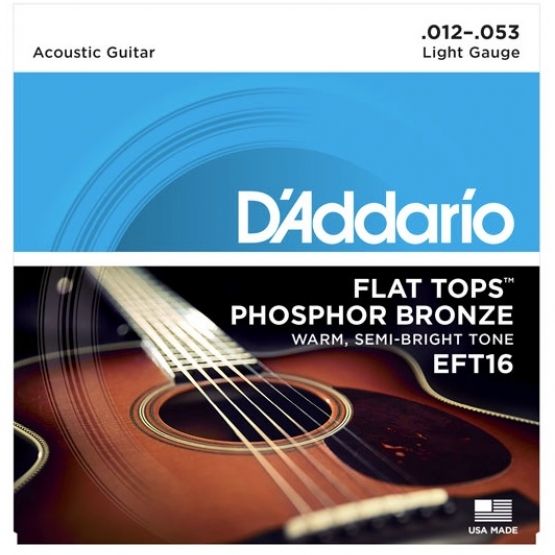 DADDARIO EFT 16 Akustik Tel Set Flat Light(.012) Zımparalı