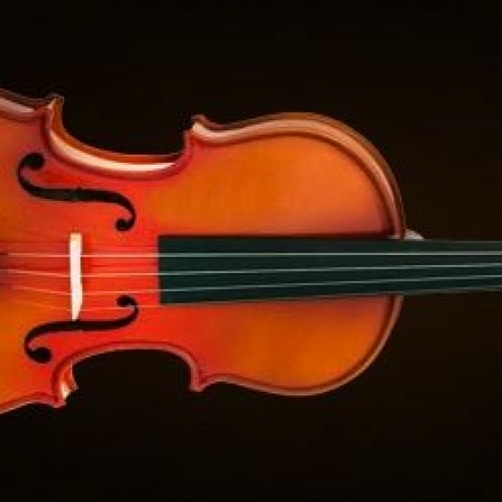 VALENCIA VA40040 Viola Sunburst Kutulu 16