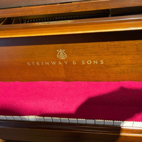 Steinway & Sons akustik kuyruklu piyano 2. el