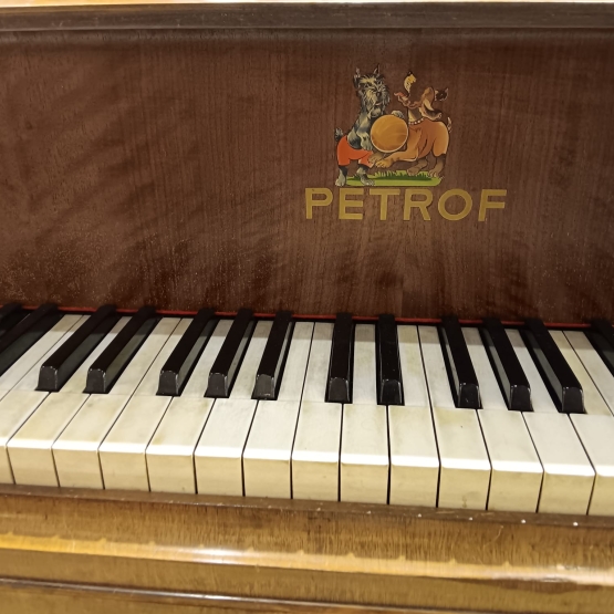 Petrof akustik kuyruklu piyano 2. el kullanılmış